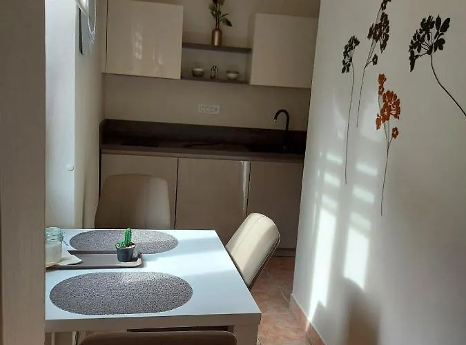 Lejlighed Old Rovinj