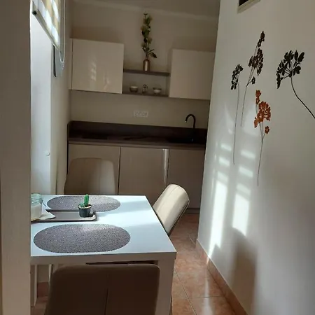 Apartman Old Rovinj